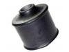 Suspension Bushing Suspension Bushing:MB002979