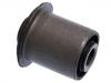 悬架衬套 Suspension Bushing:55045-AG000